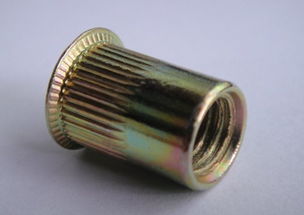 工廠直供，品質(zhì)保障 佛山市南海颶鑫五金制品廠鍍鋅M6小頭豎紋鉚螺母產(chǎn)品解析